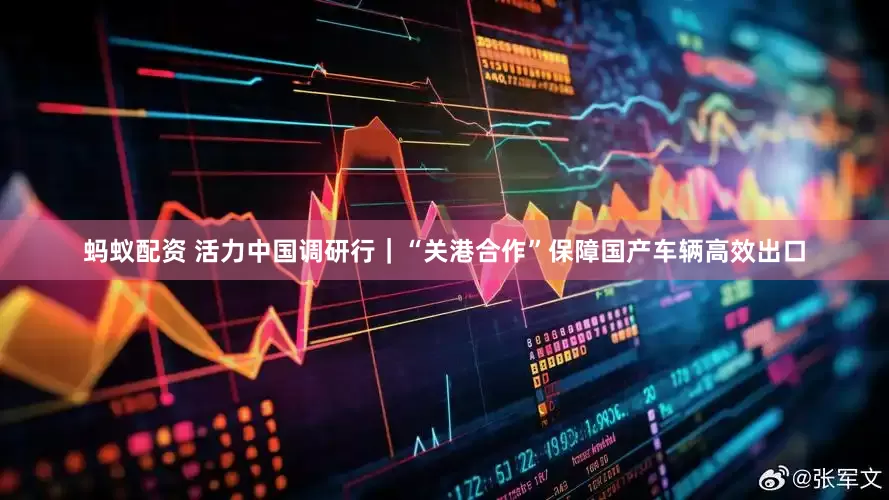 蚂蚁配资 活力中国调研行｜“关港合作”保障国产车辆高效出口