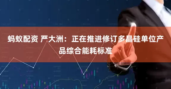 蚂蚁配资 严大洲：正在推进修订多晶硅单位产品综合能耗标准
